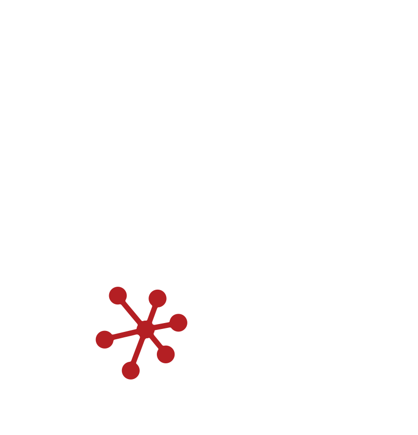 IT Services - Servaplex About - Slider