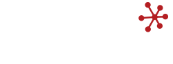 IT Solutions Servaplex Ireland - Logo Footer
