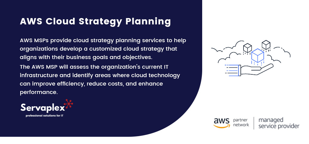 AWS Cloud Strategy Planning - Servaplex